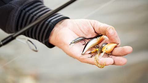 <span>UN RENSEIGNEMENT ?</span> MPL nos horaires