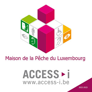access-i lgo