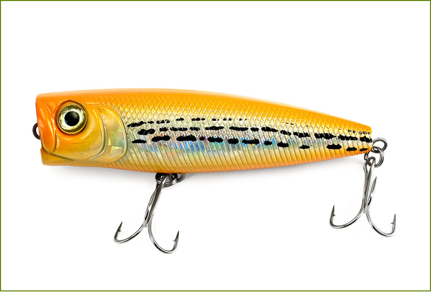 Les poppers et les poissons nageurs